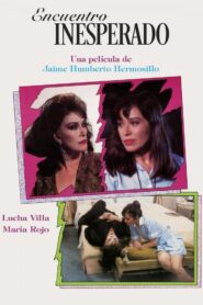 Encuentro Inesperado 1993 on netflix