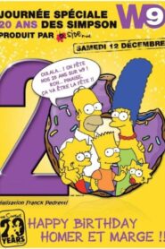 20 years of Simpsons 2009 on netflix