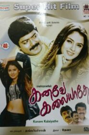 Kanave Kalaiyadhe 1999 on netflix