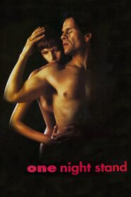 One Night Stand 1995 on netflix