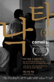 Camel(s) 2002 on netflix