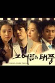 Typhoon In That Summer 2005 on netflix