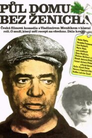 Half a House Without a Groom 1981 on netflix