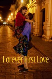 Forever First Love 2020 on netflix