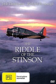 The Riddle of the Stinson 1988 on netflix