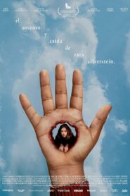 The Rise and Fall of Zara Zilverstein 2024 on netflix