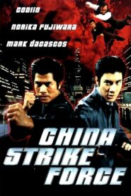 China Strike Force 2000 on netflix