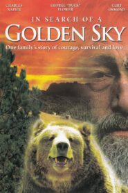 In Search of a Golden Sky 1984 on netflix