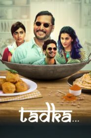 Tadka 2022 on netflix