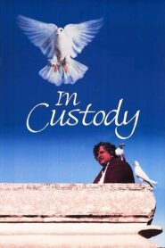 In Custody 1994 on netflix