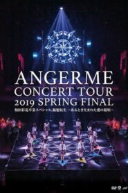 ANGERME Concert Tour 2019 Haru Final 2019 on netflix