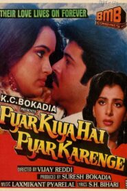 Pyar Kiya Hai Pyar Karenge 1986 on netflix