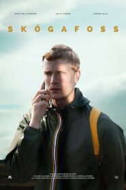 Skógafoss 2017 on netflix