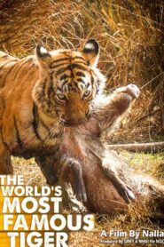 The World’s Most Famous Tiger 2017 on netflix