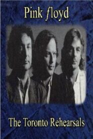 Pink Floyd: Hangar Rehearsals 1987 on netflix