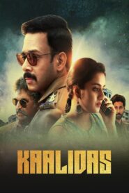 Kaalidas 2019 on netflix