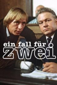 A Case For Two 1981 on netflix