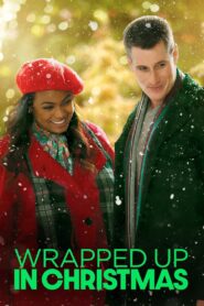 Wrapped Up In Christmas 2017 on netflix