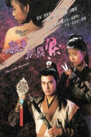 The Lady Assassin 1991 on netflix