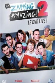 Le Zapping Amazing 2 2013 on netflix