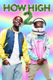 How High 2 2019 on netflix