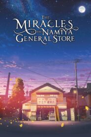 The Miracles of the Namiya General Store 2017 on netflix