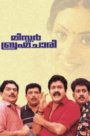 Mr. Brahmachari 2003 on netflix