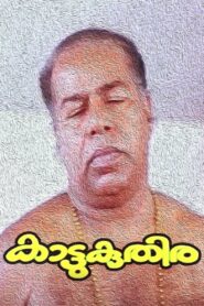 Kattukuthira 1990 on netflix