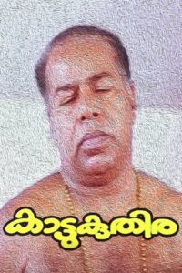Kattukuthira 1990 on netflix