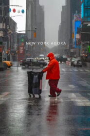 New York Agora: The Legacy of the 60s Counterculture 2008 on netflix