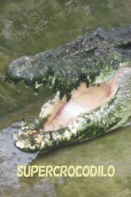 Man-Eating Super Croc 2012 on netflix