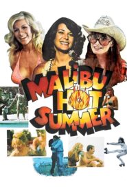 Malibu Hot Summer 1981 on netflix