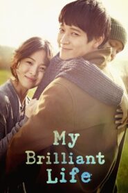 My Brilliant Life 2014 on netflix