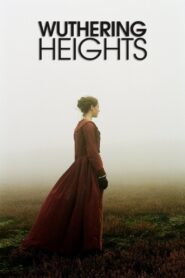 Wuthering Heights 2011 on netflix