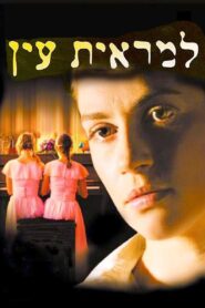 Out of Sight 2006 on netflix