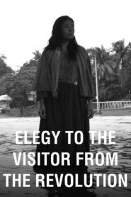 Elegy to the Visitor from the Revolution 2011 on netflix