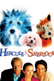 Hercule and Sherlock 1996 on netflix