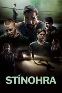 Shadowplay 2022 on netflix