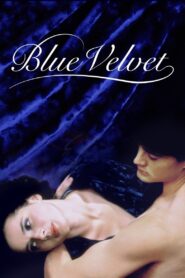 Blue Velvet 1986 on netflix