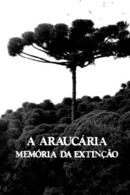 A Araucária: Memória em Extinção 1981 on netflix