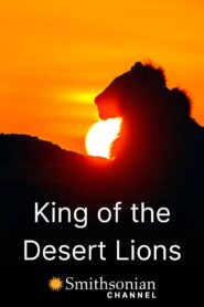 King of the Desert Lions 2018 on netflix