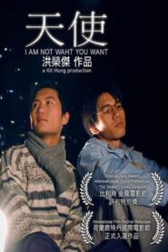 I Am Not What You Want 2001 on netflix