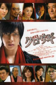 The Black Swindler 2008 on netflix