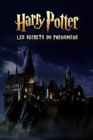 Harry Potter : les secrets du phénomène 2023 on netflix