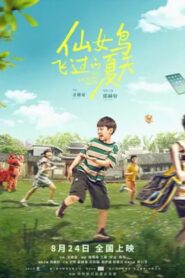 仙女鸟飞过的夏天 2024 on netflix
