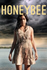 HoneyBee 2016 on netflix