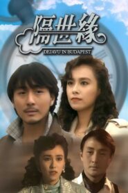 隔世缘 1991 on netflix