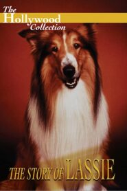 The Story of Lassie 1994 on netflix