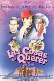 The Things of Love 1989 on netflix