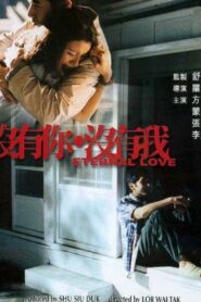 Eternal Love 2000 on netflix